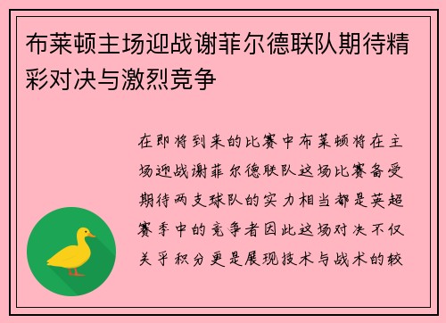 布莱顿主场迎战谢菲尔德联队期待精彩对决与激烈竞争